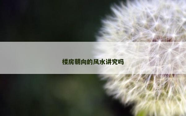 楼房朝向的风水讲究吗