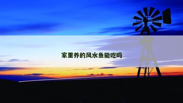 家里养的风水鱼能吃吗