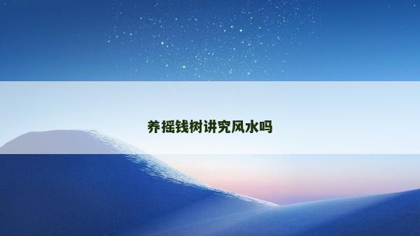 养摇钱树讲究风水吗