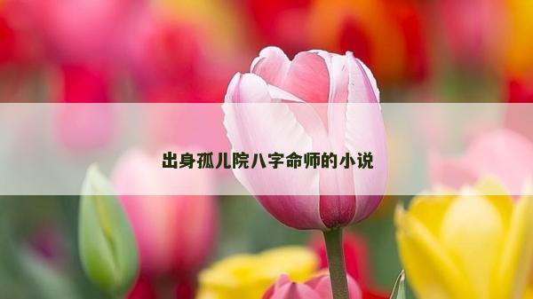 出身孤儿院八字命师的小说