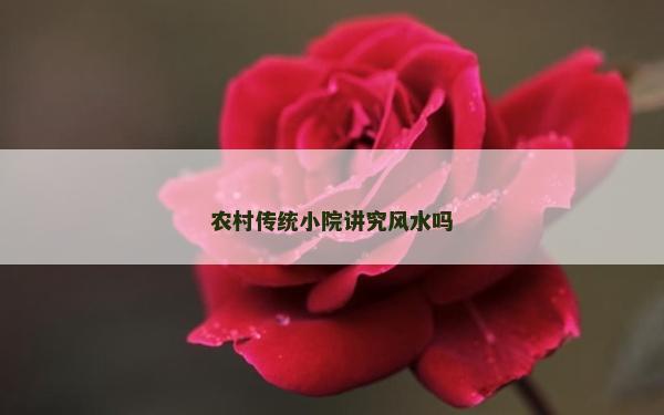 农村传统小院讲究风水吗