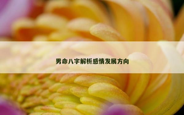 男命八字解析感情发展方向
