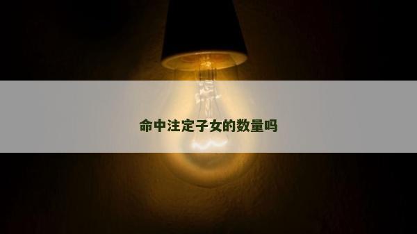 命中注定子女的数量吗