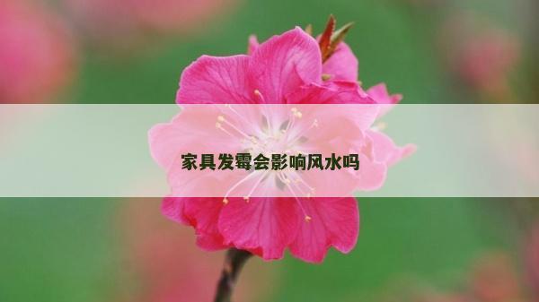 家具发霉会影响风水吗