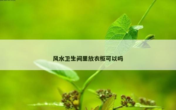 风水卫生间里放衣柜可以吗