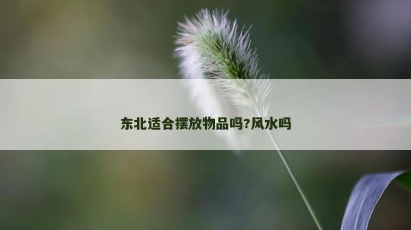 东北适合摆放物品吗?风水吗