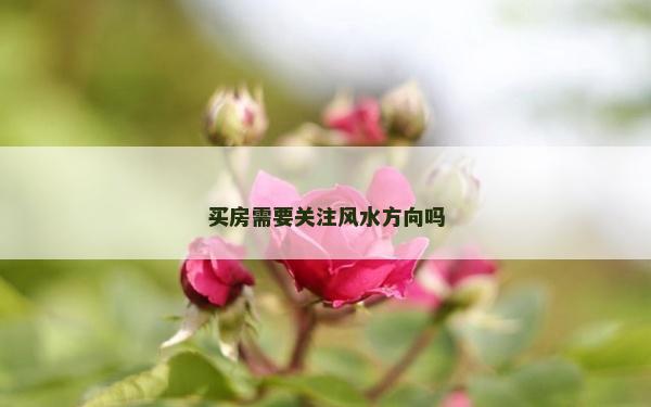 买房需要关注风水方向吗