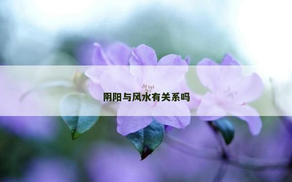 阴阳与风水有关系吗