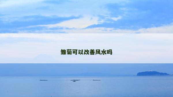 雏菊可以改善风水吗