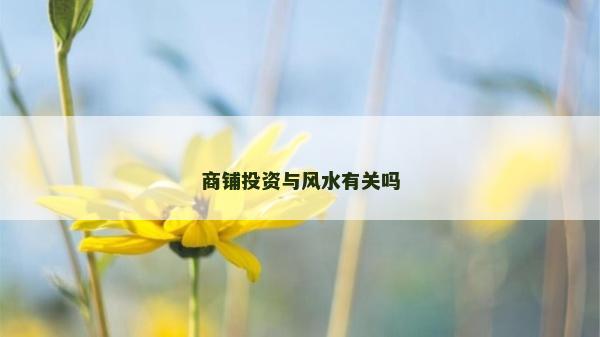 商铺投资与风水有关吗