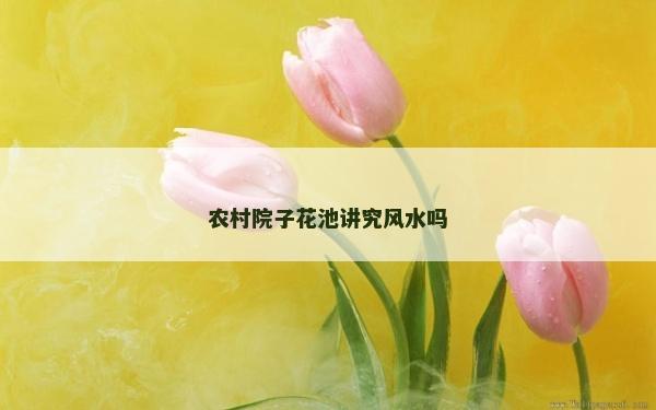 农村院子花池讲究风水吗