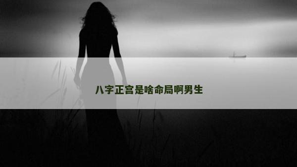 八字正宫是啥命局啊男生