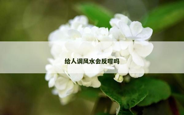 给人调风水会反噬吗