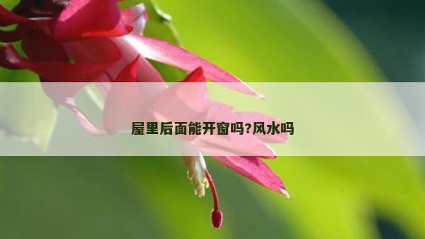 屋里后面能开窗吗?风水吗