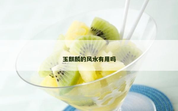 玉麒麟的风水有用吗