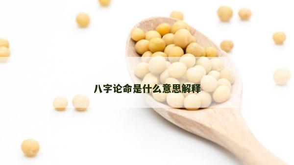 八字论命是什么意思解释