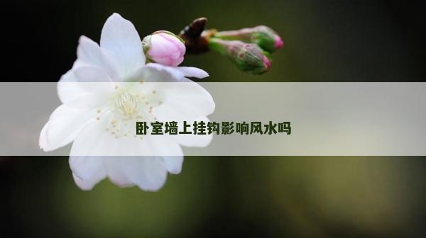 卧室墙上挂钩影响风水吗