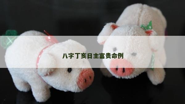 八字丁亥日主富贵命例