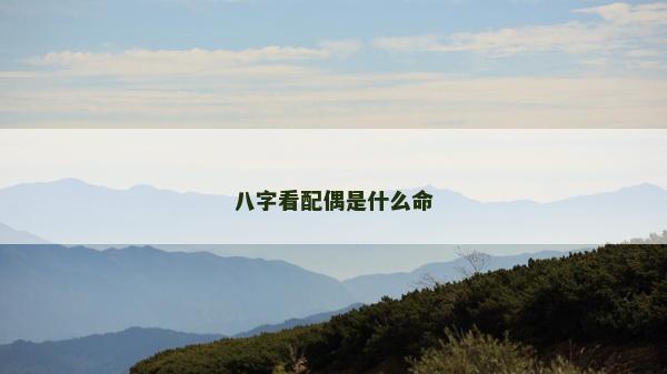 八字看配偶是什么命