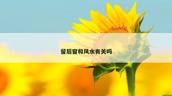 留后窗和风水有关吗