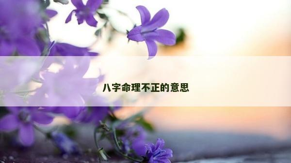 八字命理不正的意思