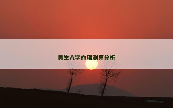 男生八字命理测算分析