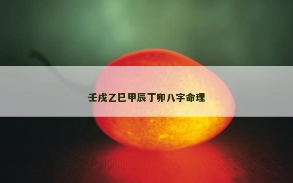 壬戌乙巳甲辰丁卯八字命理