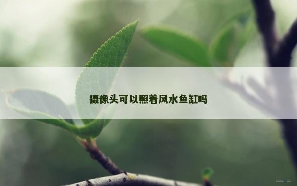 摄像头可以照着风水鱼缸吗
