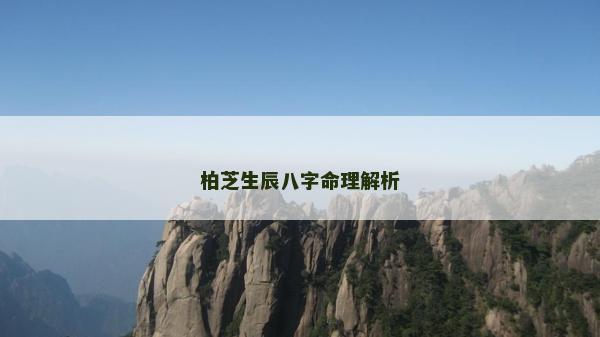 柏芝生辰八字命理解析