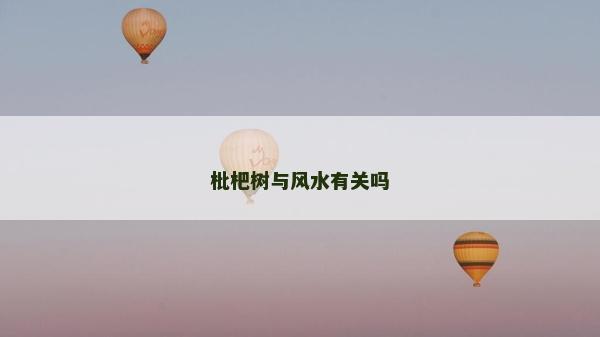枇杷树与风水有关吗