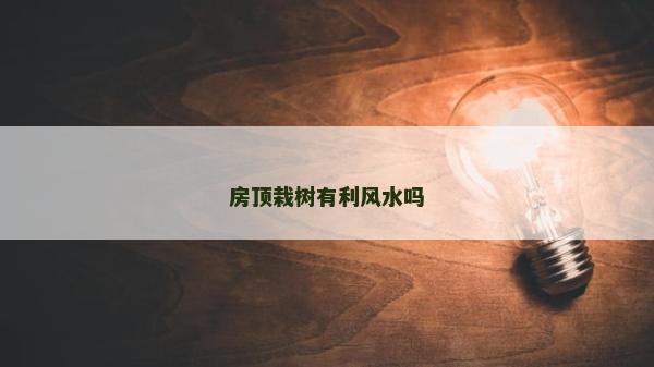 房顶栽树有利风水吗