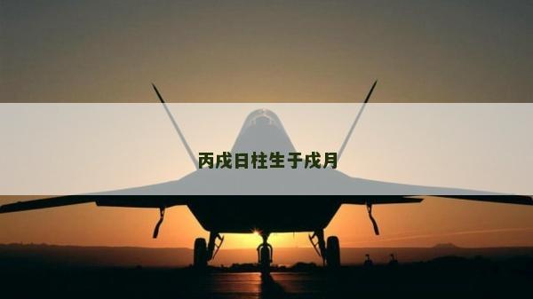丙戌日柱生于戌月