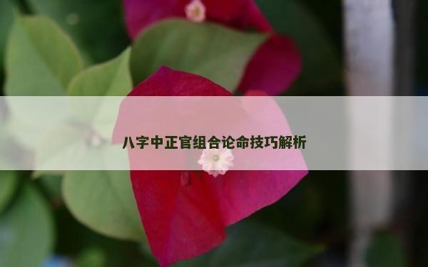 八字中正官组合论命技巧解析