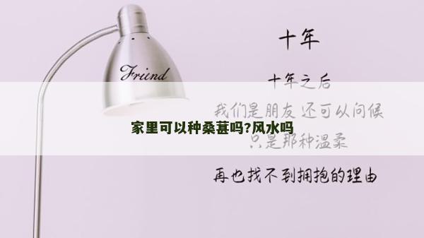 家里可以种桑葚吗?风水吗