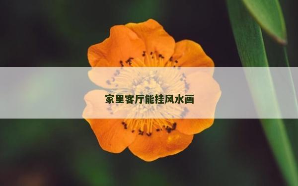 家里客厅能挂风水画