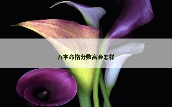 八字命格分数高会怎样