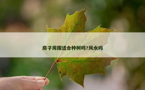 房子周围适合种树吗?风水吗