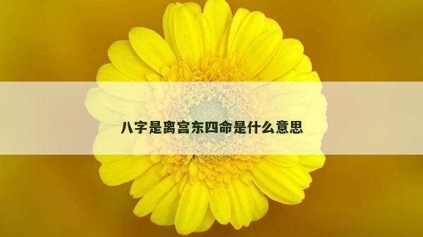 八字是离宫东四命是什么意思