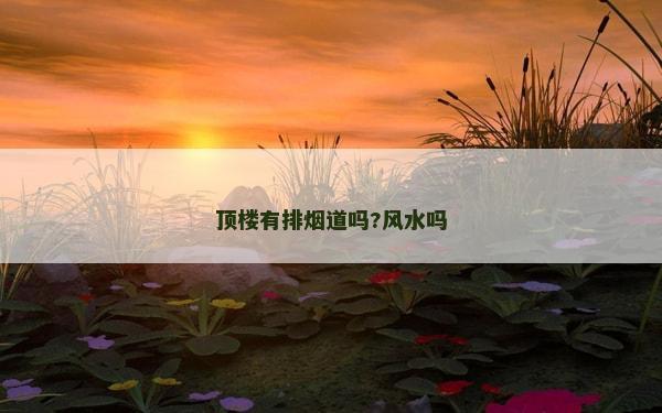 顶楼有排烟道吗?风水吗