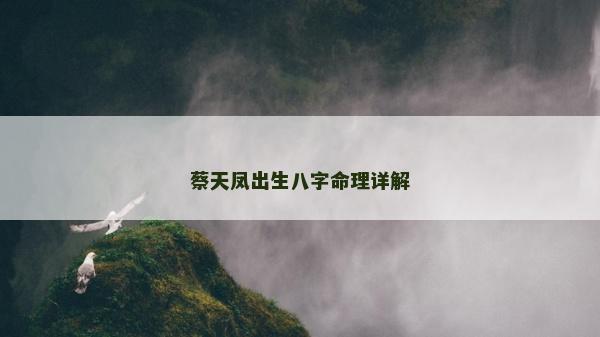 蔡天凤出生八字命理详解