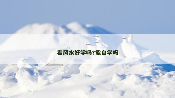 看风水好学吗?能自学吗