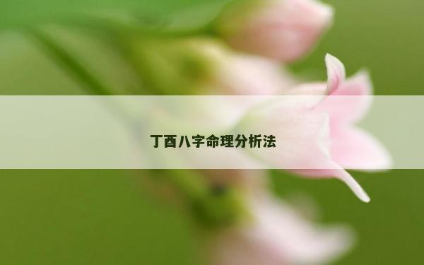 丁酉八字命理分析法
