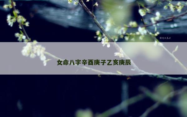 女命八字辛酉庚子乙亥庚辰