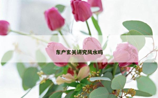 东户玄关讲究风水吗