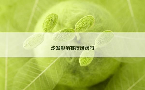 沙发影响客厅风水吗