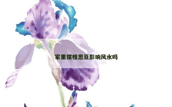 家里摆相思豆影响风水吗