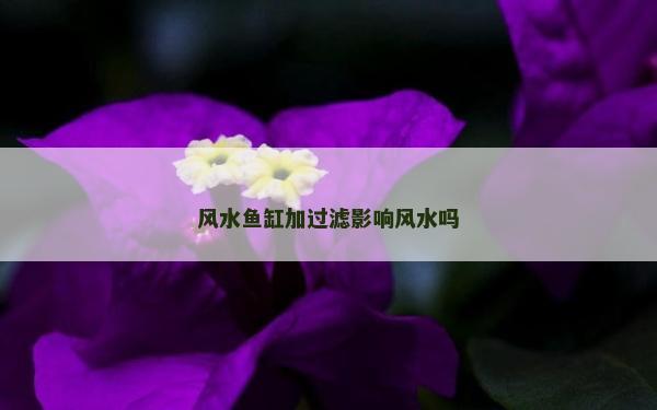 风水鱼缸加过滤影响风水吗
