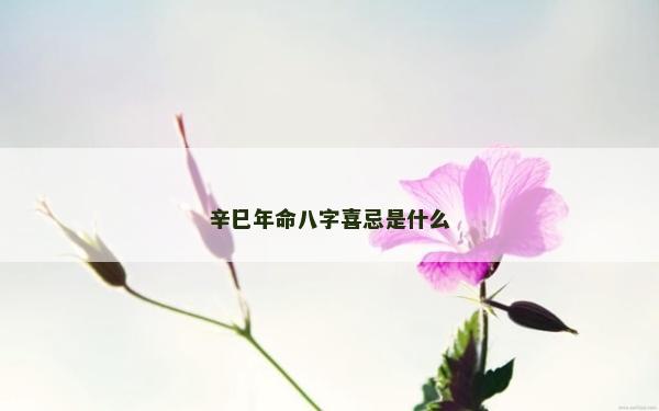辛巳年命八字喜忌是什么