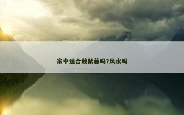 家中适合栽紫藤吗?风水吗