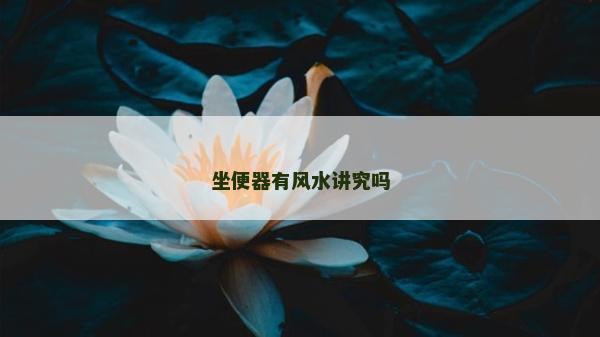 坐便器有风水讲究吗